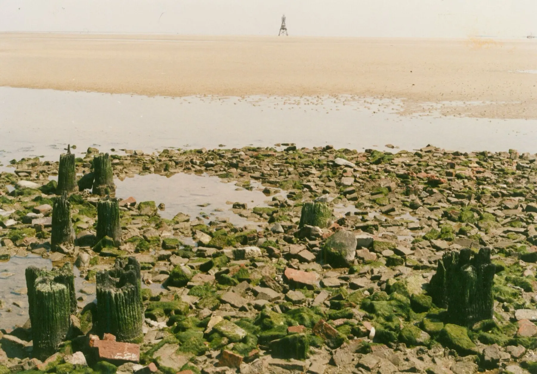 Het wad bij laag water met houten paalresten, en in de verte een baken